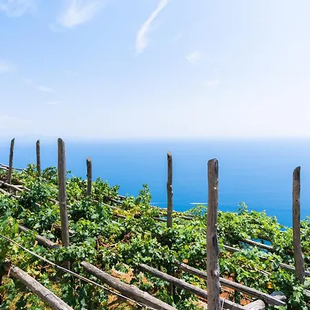 La Vigna Di Bacco 4* Furore